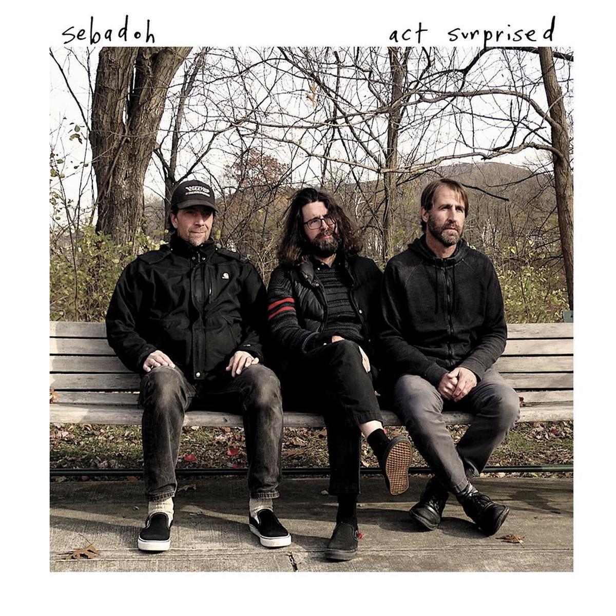 Sebadoh – Act Surprised LP