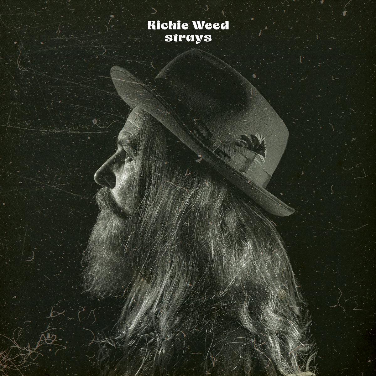 Weed, Richie – Strays