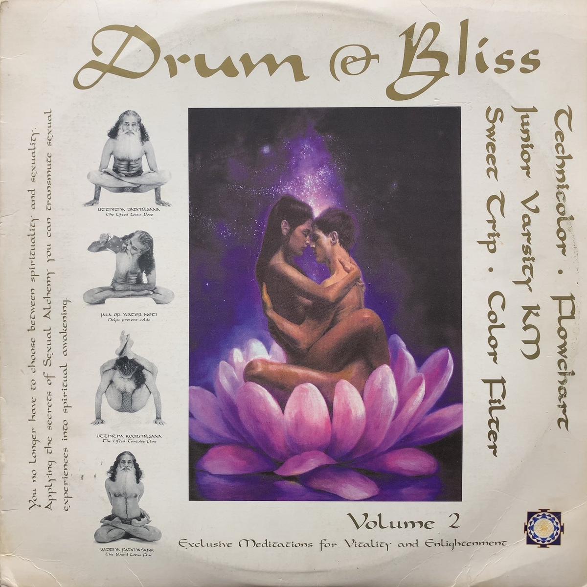 V.A. (FLOWCHART, JUNIOR VARSITY KM) / Drum & Bliss V.2 (DRL 094, 12inch x 2)