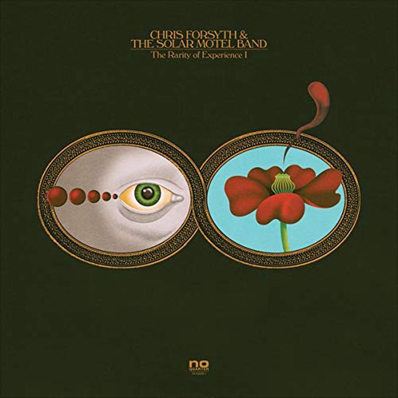 Chris Forsyth & Koen Holtkamp – The Rarity of Experience Pts. I & II [VINYL]