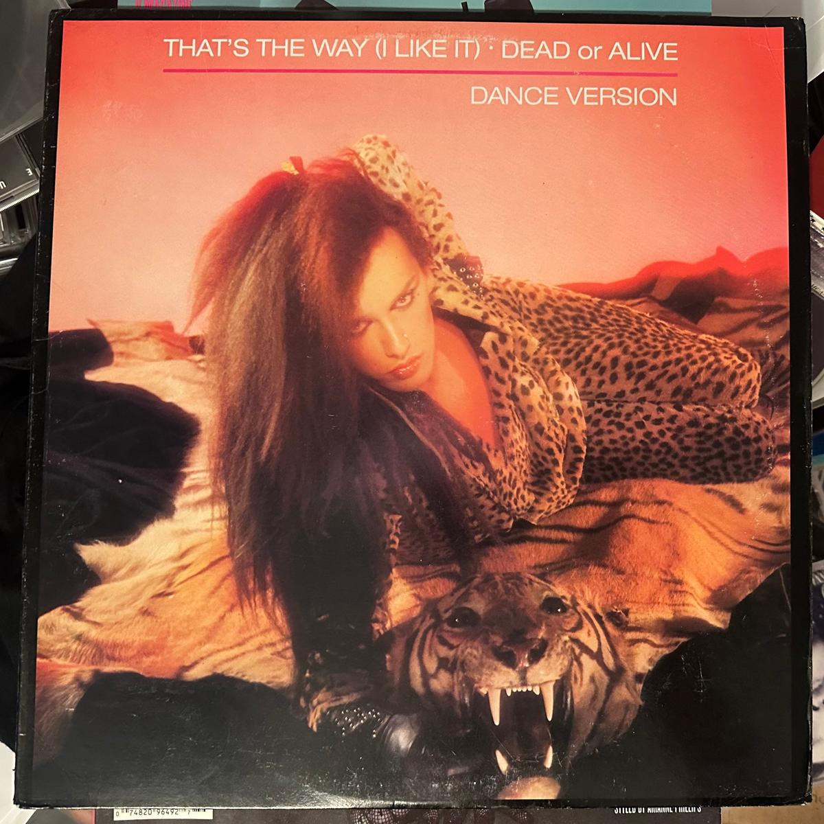 Dead Or Alive – That’s The Way (I Like It) 12″ Single – LP Vinyl – Used