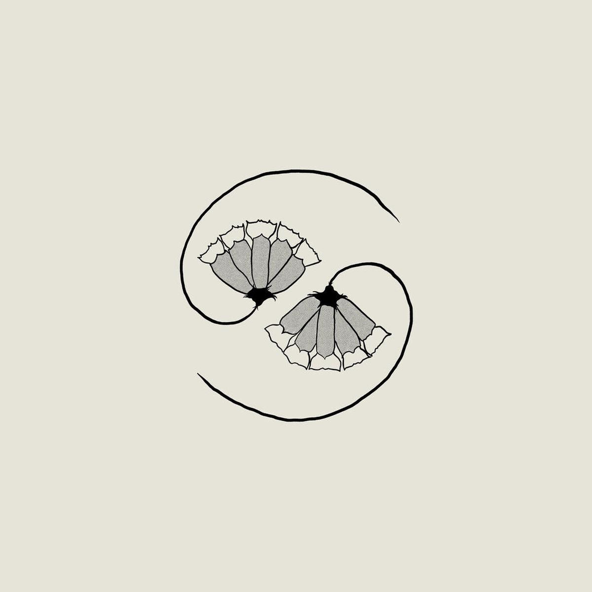 Godspeed You  Black Emperor – G_D s Pee At State s End