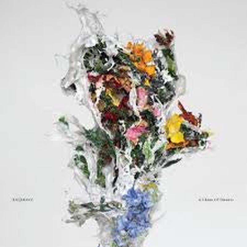BIG I BRAVE-A CHAOS OF FLOWERS LP *NEW*