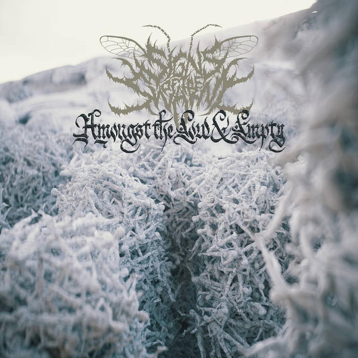 Signs Of The Swarm - Amongst The Low & Empty LP